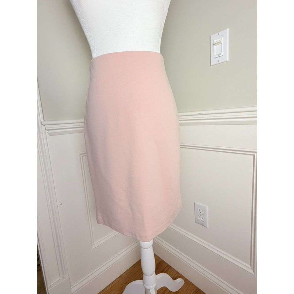 Philosophy Republic Clothing Blush Pink Stretch Pencil Skirt Size 4